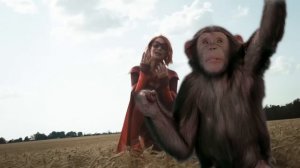 [Vought International] Crimson Countess | Chimps Don't Cry | [The Boys / Пацаны]