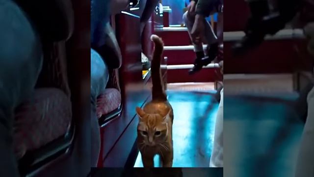 Краткий пересказ фильма смотреть онлайн