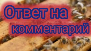 Ответ на комментарий 🐝