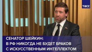 Сенатор Шейкин: в РФ никогда не будет браков с искусственным интеллектом
