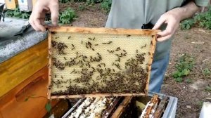 13 июня ВАЖНЕЙШАЯ РАБОТА  перед ГВ