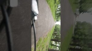 лев