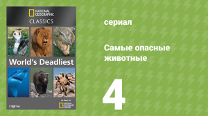 Самые опасные животные 4 серия (документальный сериал, 2007)