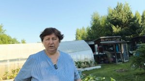Защита от луковой и морковной мухи.