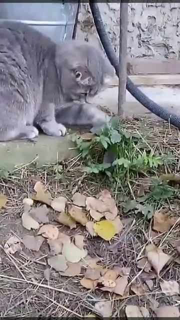 Ну, где ты спрятался?