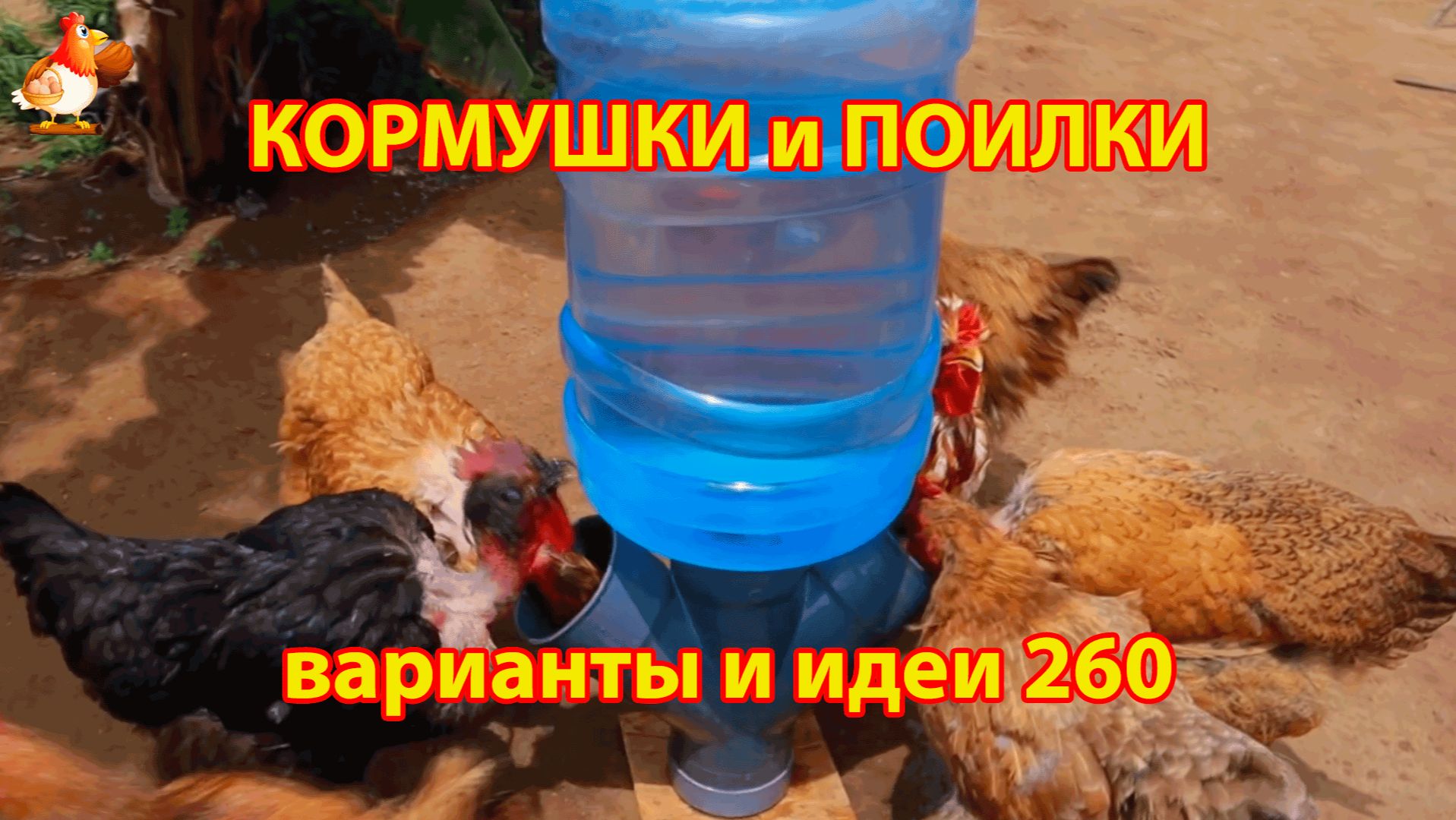 Кормушки и поилки для кур своими руками 260 🪚✂️ Пошаговая инструкция как сделать 🐔 🐓❣️