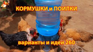 Кормушки и поилки для кур своими руками 260 🪚✂️ Пошаговая инструкция как сделать 🐔 🐓❣️