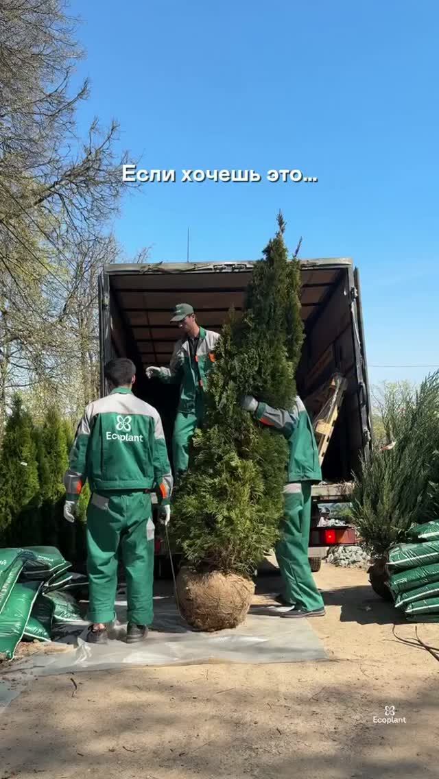 Если посмотрели это видео несколько раз — добро пожаловать во взрослую жизнь😎