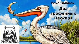RR4 Трофейный Пескарь на р. Вьюнок.
