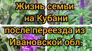 10-11.06/ Жизнь семьи на Кубани/ Телевизор не показывает🫣/ Закупка/ Жареная рыбка/ Дождь/ Кубань/