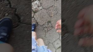 мы гуляем