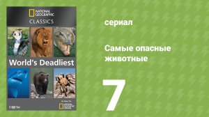 Самые опасные животные 7 серия (документальный сериал, 2007)