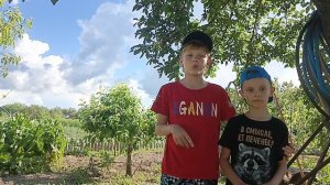 molonos акция
