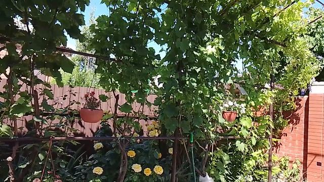 113.mp4 смотреть онлайн