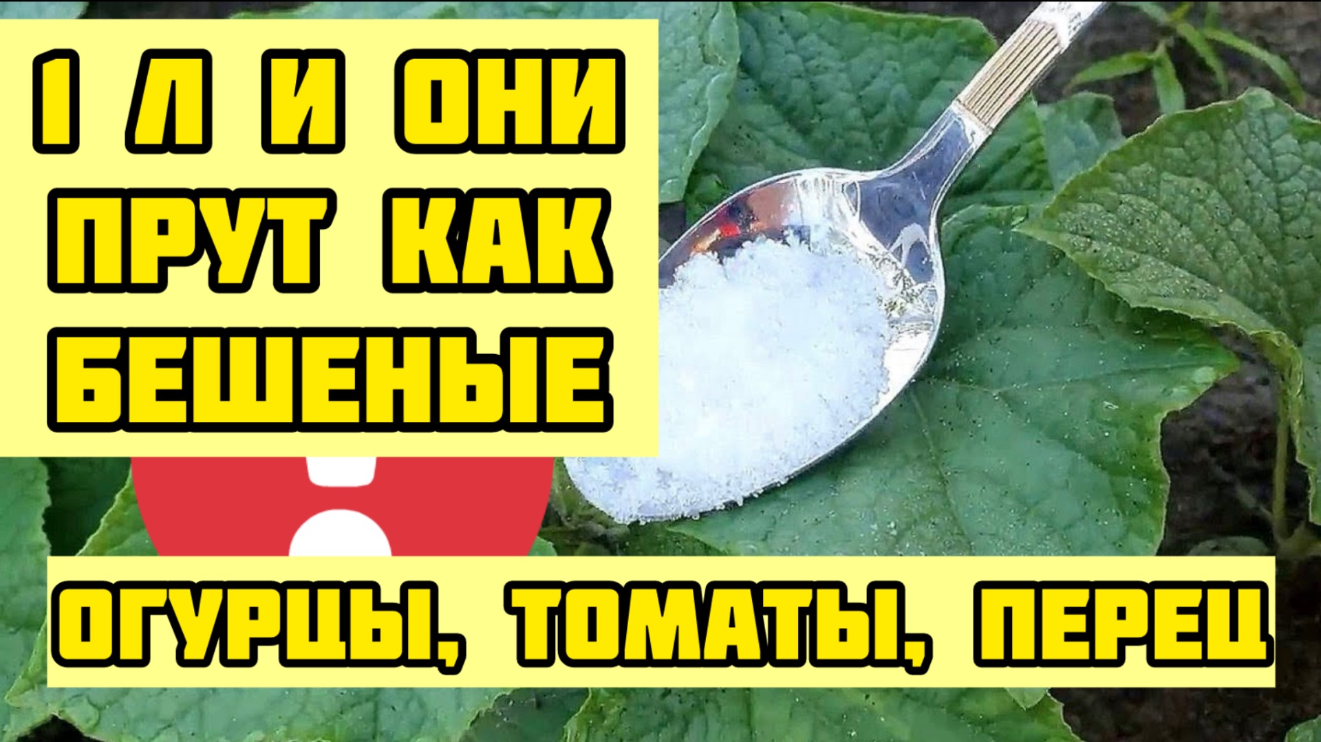 1 Литр под Огурцы, Томаты, Перец и они попрут как Бешенные!
