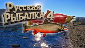 🔴Русская рыбалка 4🔴р.Яма,Поиск рыбы!