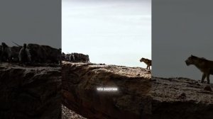 Краткий пересказ фильма