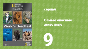 Самые опасные животные 9 серия (документальный сериал, 2007)