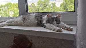 Я сегодня в няньках.
