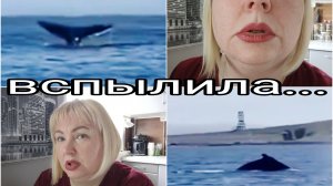 13-06-2026  Чайничек вскипел немного  * Рутуб - где просмотры? * Кита спасли