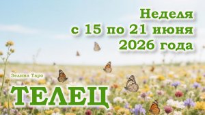 ТЕЛЕЦ | ТАРО прогноз на неделю с 15 по 21 июня 2026 года