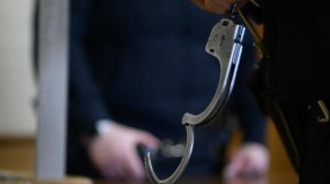 Во Франции обвиняемому по делу о краже книг Пушкина запросили восемь лет