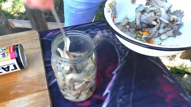 Солим  вешенки - будет вкусно