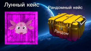 Кейсы