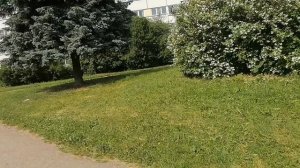 Дорога через мост