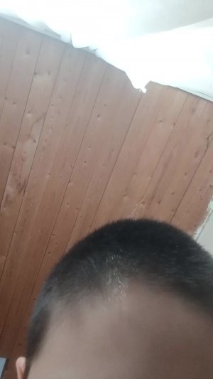 роблокс енот🙃 то
