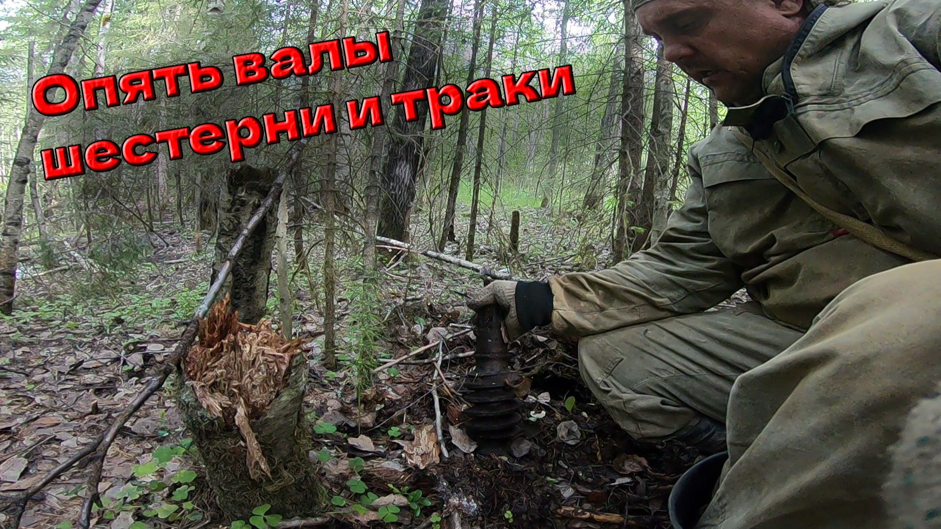 Опять нахожу тракторные запчасти_Garrett 300i Ace Меня удивляет #копметаллавлесу  #металлокоп