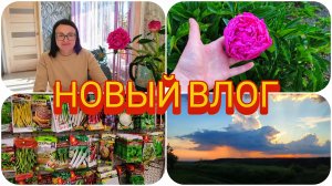 НЕ ПЛАНИРОВАЛИ, НО ПОЕХАЛИ 🚙 ВСЁ УСПЕЛИ 👍🌺 НАКУПИЛА 🍉 И 🍈