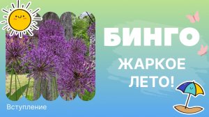 Бинго! Жаркое лето! (Вступление)