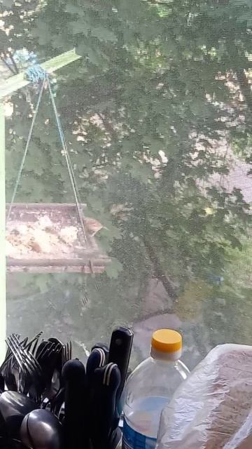 МОЕ ХОЗЯЙСТВО, ОНИ ТУТ ЖИВУТ !!! смотреть онлайн