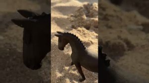 мини ржачное видео! простите без монтажа😔нету сейчас времени