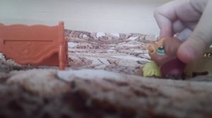 Побег из тюрьмы через лабиринт. Побег собаки, часть 1. #питомцы #собакиприколы #творчество