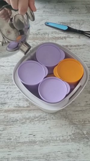 Tupperware Moscow | Термосервирователь (2,8 л): домашний йогурт