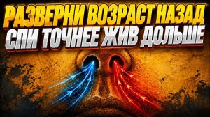 42. Учёные молчат о том, что сон убивает тебя медленно | За Гранью Кода