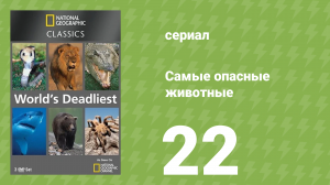 Самые опасные животные 22 серия (документальный сериал, 2007)