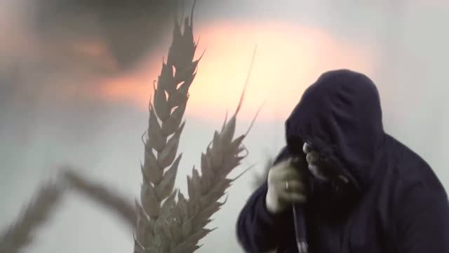 ÀZ - Наивные души I ВОПИЮЩИЕ КАМНИ