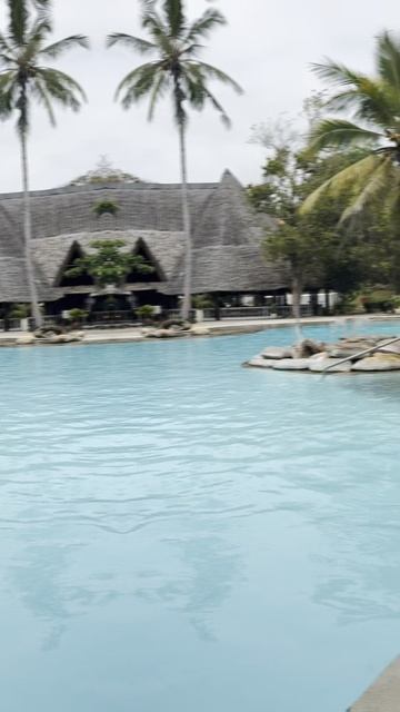 Hakuna Matata. Errinerungen an unsere Reise nach Kenya im Januar 2026 #travel #africa #kenya #love