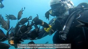 Крым, мыс Меганом опытный торпедный катер со времён ВОВ 1941-1945 гг.