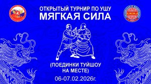 Турнир по ушу «Мягкая сила» 2026 года (туйшоу на месте)