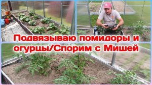 Подвязываю огурцы и помидоры/Домашние дела/Спорим с Мишей  Часть 2