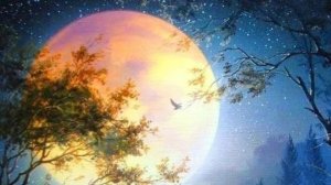 Рекомендации по солнечным и лунным дням на 13 14 15   июня 2026г