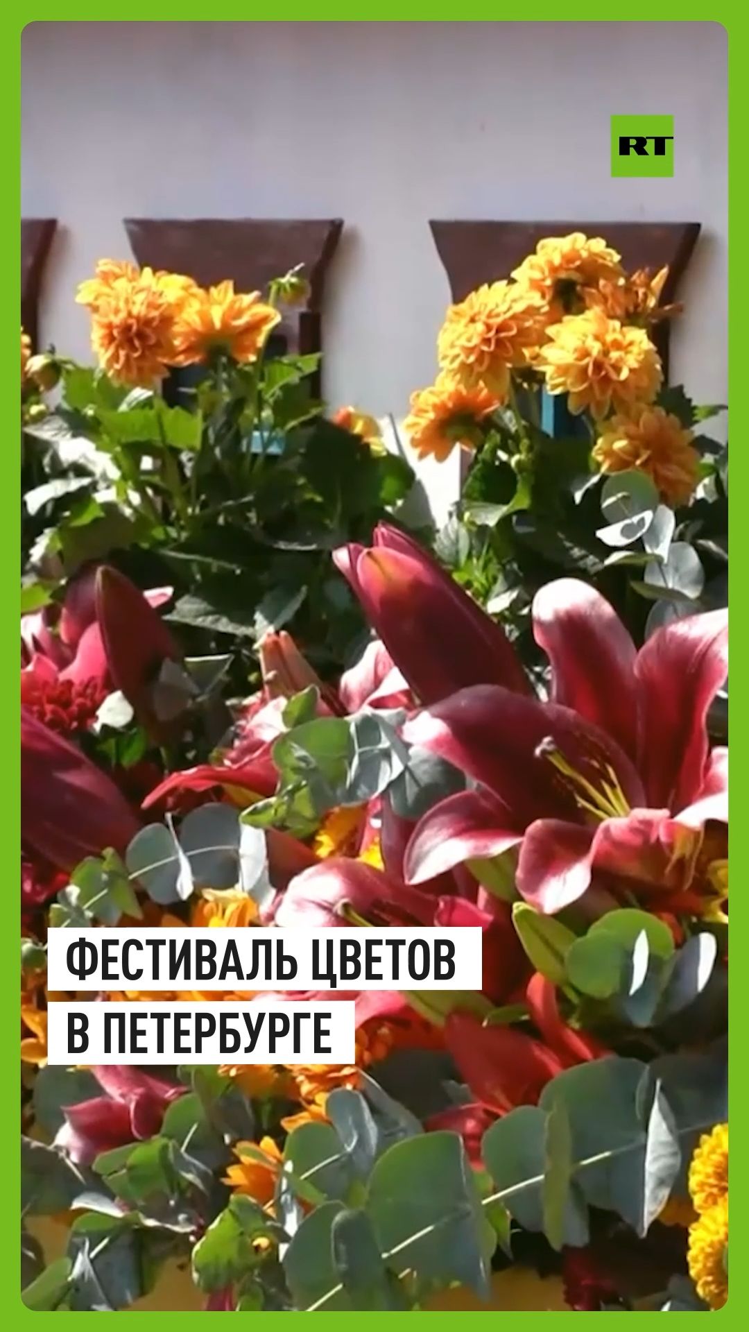 Международный фестиваль цветов проходит в Санкт-Петербурге