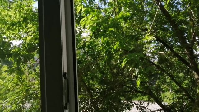 13.06.26г/вот теперь ВСЕ🤓👌! ДЕД👍 КРУТОЙ!