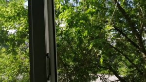 13.06.26г/вот теперь ВСЕ🤓👌! ДЕД👍 КРУТОЙ!