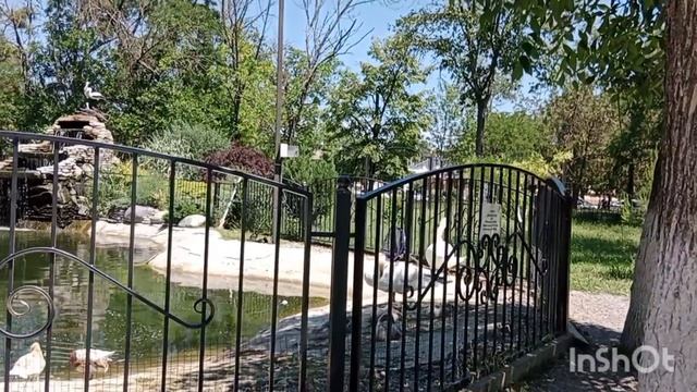 Где в Ейске самые дешёвые аттракционы для детей... Ожившие сказки... смотреть онлайн