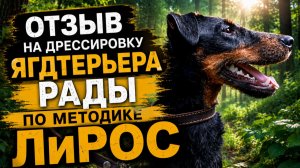 Отзыв Семенова Петра Валентиновича на дрессировку ягдтерьера Рады по методике ЛиРОС